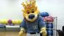 kgo-mascot-camp-073113-600