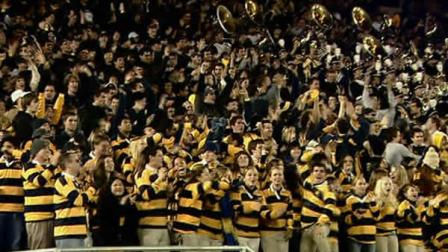 Cal Bears fans