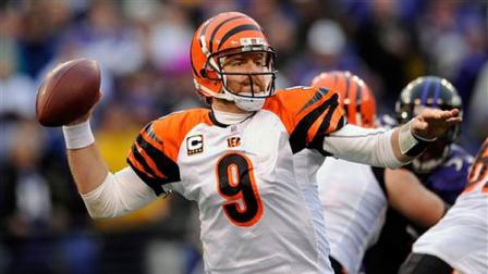 Carson Palmer