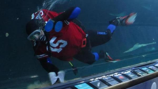 Diver sporting 49ers gear at Aquarium of the Bay (Submitted via uReport)