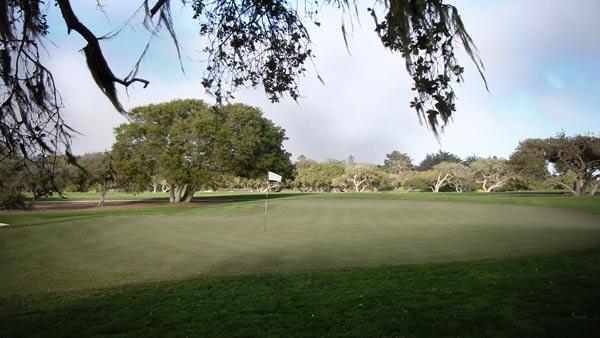 Bayonet and Black Horse golf courses