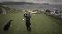 Wayne Freedman hits the links at Pebble Beach.