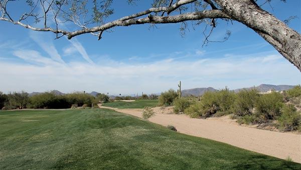 Desert Forest par 5 7th