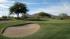 Desert Forest par 3 8th