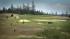 Two Days of Golf Near Seattle, Washington