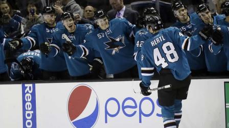 San Jose Sharks Tomas Hertl (48), of the Czech Republic, celebrates his goal with teammates during the first period of an NHL hockey game against the Ottawa Senators on Saturday, Oct. 12, 2013, in San Jose, Calif. (AP Photo/Marcio Jose Sanchez)