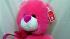 Target stops sales of bear toys over lead concerns