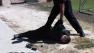 A bystander helps restrain Brendan L. ORourke, a suspect in shooting at a school in Carlsbad, Calif.