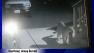 Mountain lion spotted on familys surveillance camera