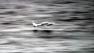 A color-corrected version of the Hilo, Hawaii plane crash