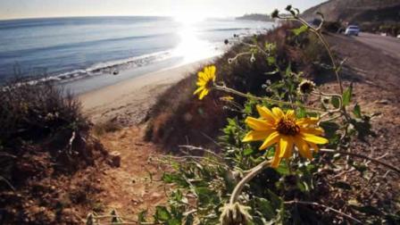 Coastal Calif. to see cooler temps through spring