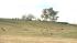 Central California land search