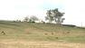 Central California land search