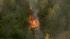 Lake County fire