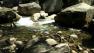 Yosemite National Park officials say one boy is dead and another is missing after they were swept away in the Merced River.