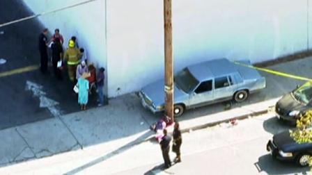 A car plowed into a group of parents and children outside a Los Angeles elementary school and eight people have been injured.