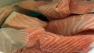 Salmon filets
