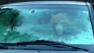 Bear in the front seat of a car in Truckee