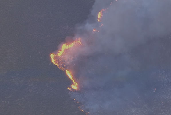 Lake County wildfire