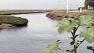 Feinstein marks end of wetlands restoration project
