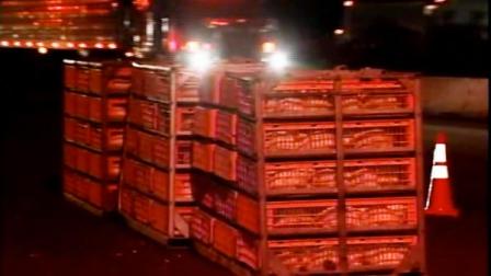 Chickens on I-80 in Vacaville