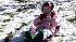 Snow dusts low elevations in the Bay Area ::