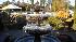 Frozen fountains at Absolute Home and Garden in...