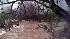 Vasona Park, Los Gatos Creek