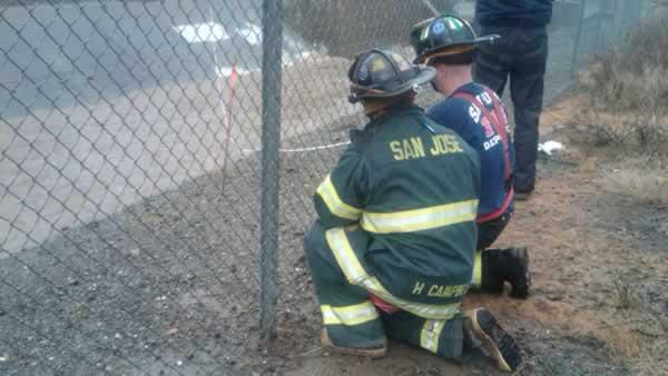 water rescue, San Tomas Aquino Creek