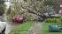 Newark, storm