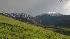 snow, Mt. Diablo