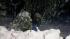 Heavy snow falling in the Sierra ::