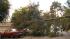 Cleanup underway from overnight storm in Bay... :: Tree falls in Oakland Hills