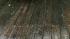 uReport: Bay Area storm :: hail