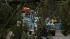 Storm brings hail, downed trees and power lines :: Storm brings hail, downed trees and power lines