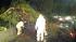 A large tree fell on the Highway 4 connector to...