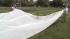 Freezing temps could damage North Bay crops :: tarp