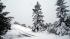The peak of Mount Tamalpais covered in snow....