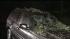 Stormy weather knocks out power, downs trees