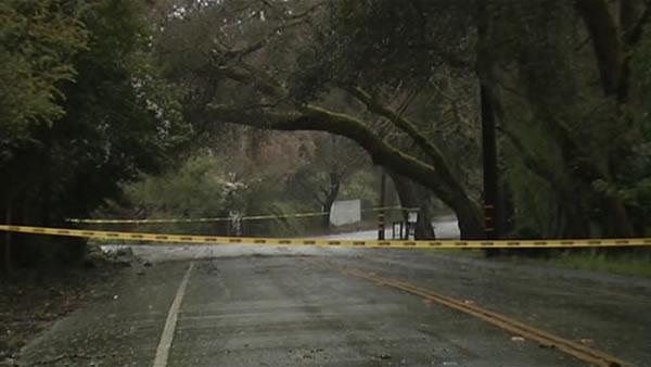 Stormy weather knocks out power, downs trees