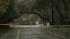 Stormy weather knocks out power, downs trees