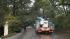 Stormy weather knocks out power, downs trees