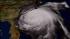 East Coast gears up for Hurricane Irene :: Satellite image of Hurricane Irene