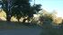 Downed tree in Sonoma County