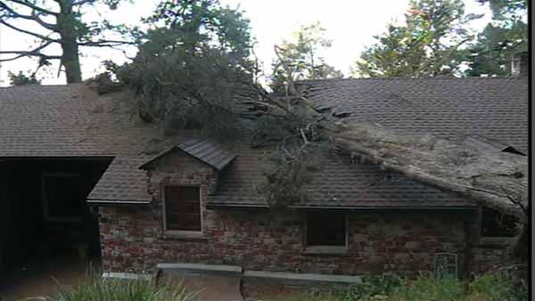 The howling winds blew a huge cypress tree into a home in the Oakland Hills. It hit the roof between the bedrooms of their two small children. Nobody was injured but the family is moving out.