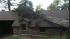 The howling winds blew a huge cypress tree into...