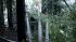 Three trees came crashing down on a house in...