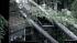 Three trees came crashing down on a house in...