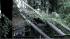 Three trees came crashing down on a house in...