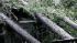 Three trees came crashing down on a house in...